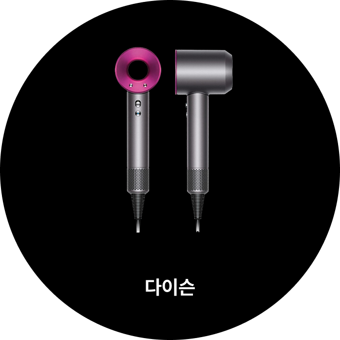 다이슨